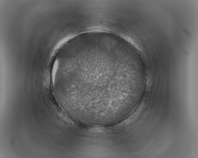 X0000112021358200909141027