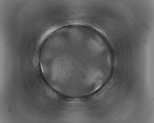 X0000112021359200909141027