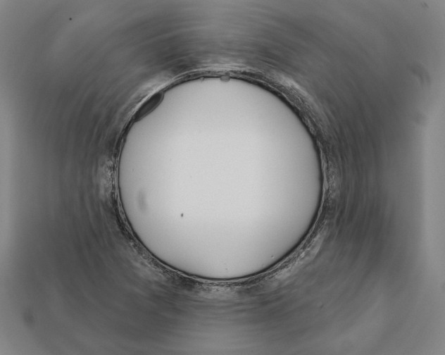 X0000112021361200909141027