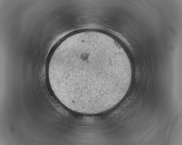 X0000112021364200909141027