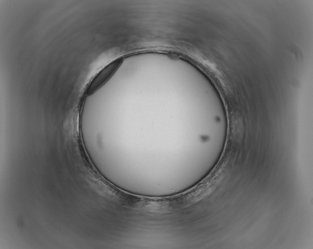 X0000112021365200909141027