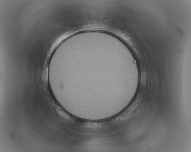 X0000112021366200909141027