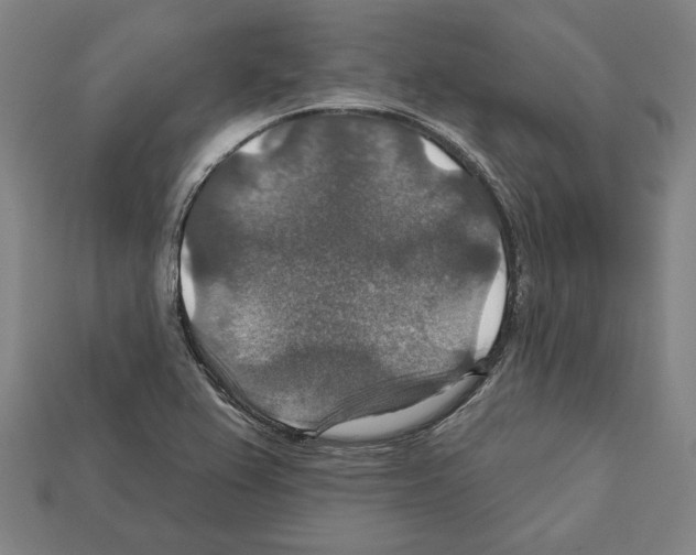 X0000112021367200909141027