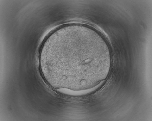 X0000112021368200909141027