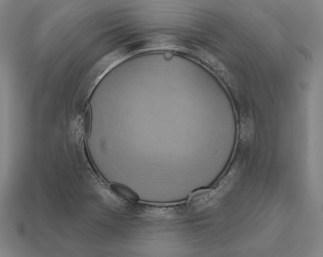 X0000112021369200909141027