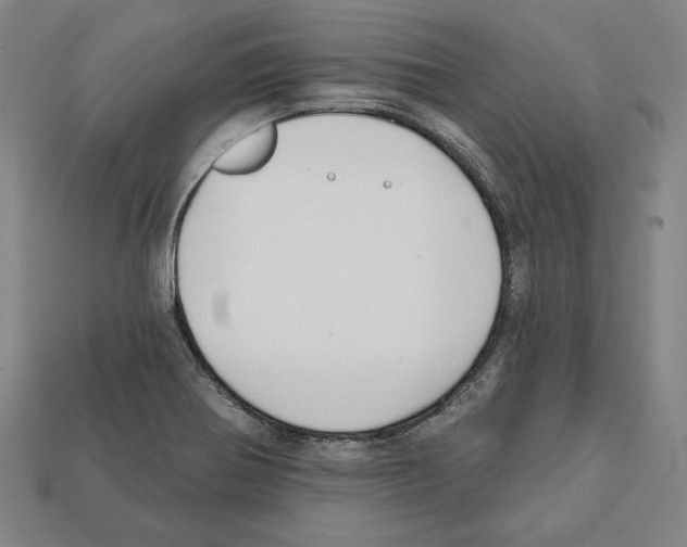 X0000112021370200909141027