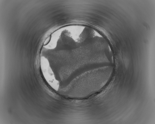 X0000112021371200909141027