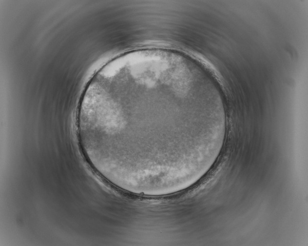 X0000112021373200909141027