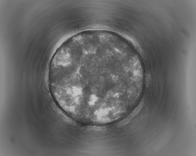 X0000112021374200909141027