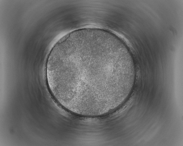 X0000112021375200909141027