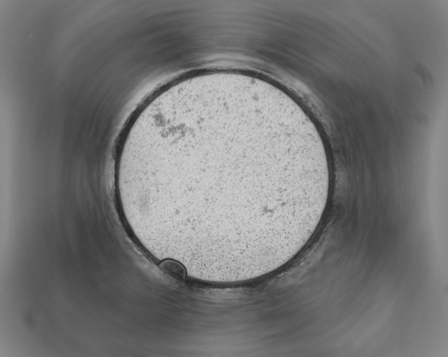 X0000112021376200909141027