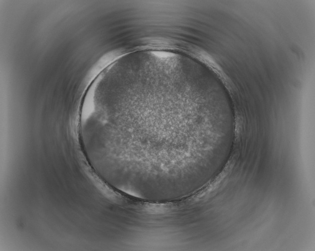 X0000112021378200909141027