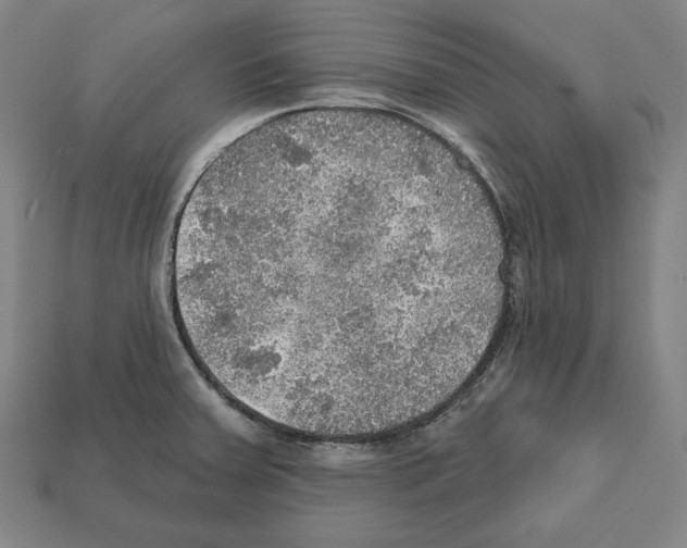 X0000112021379200909141027