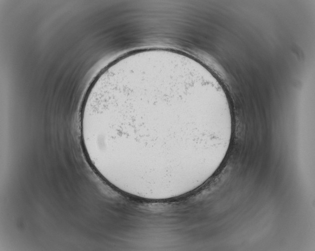 X0000112021380200909141027