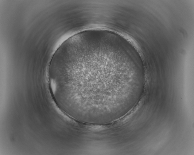 X0000112021382200909141027