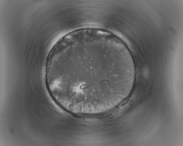 X0000112021383200909141027