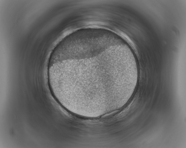 X0000112021384200909141027