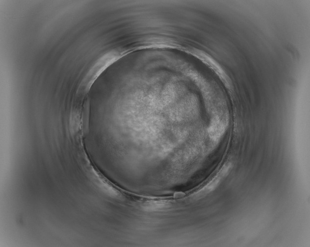 X0000112021385200909141027