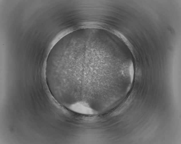 X0000112021386200909141027