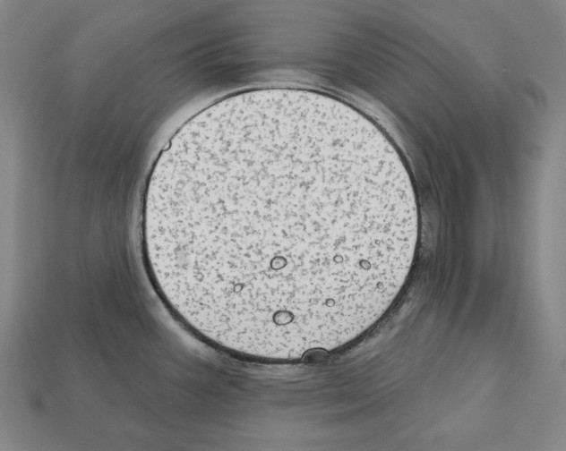 X0000112021387200909141027