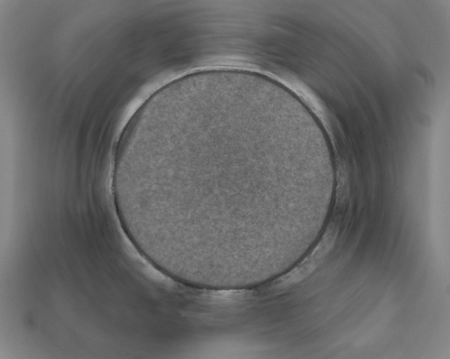 X0000112021390200909141027