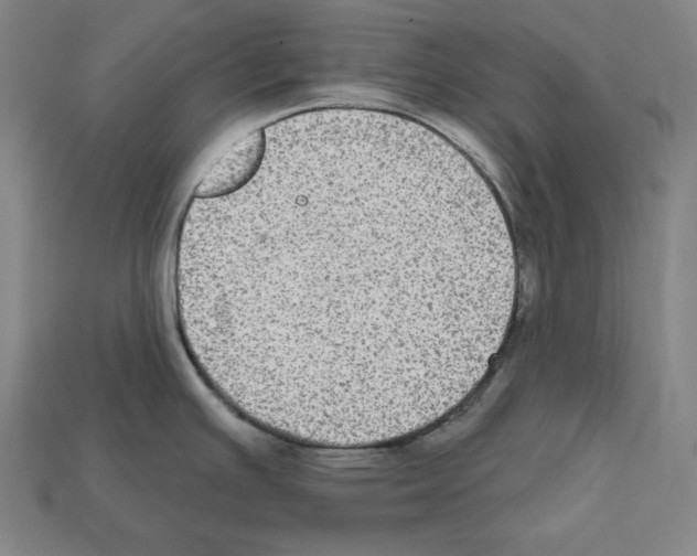 X0000112021391200909141027