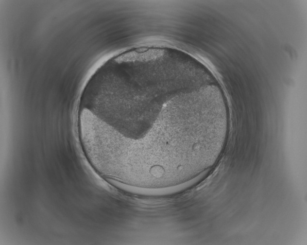 X0000112021392200909141027