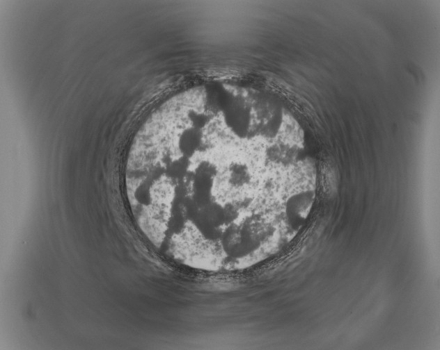 X0000112021393200909141026