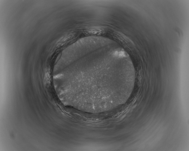 X0000112021394200909141026