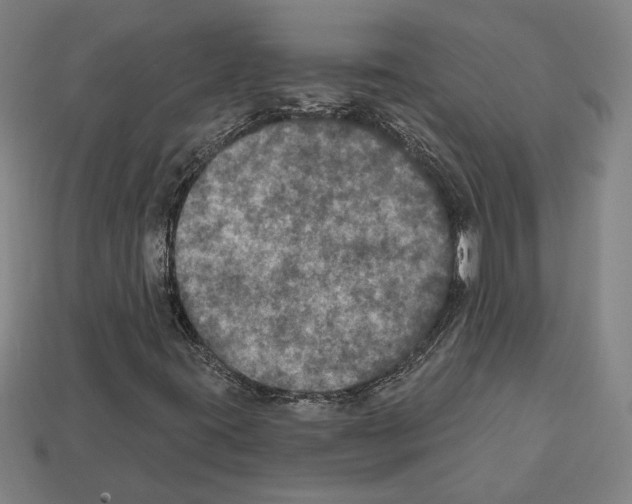 X0000112021395200909141026