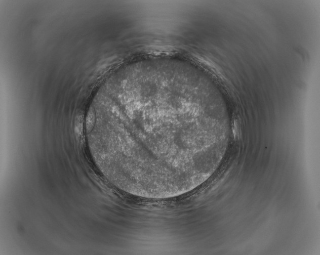 X0000112021396200909141026