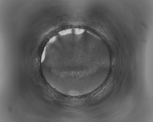 X0000112021398200909141026