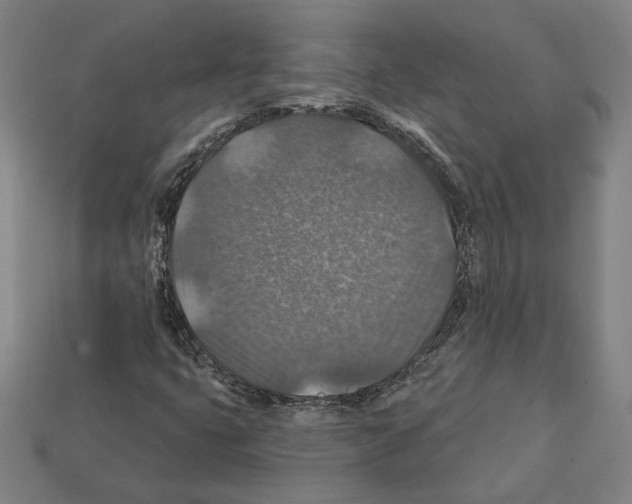 X0000112021399200909141026