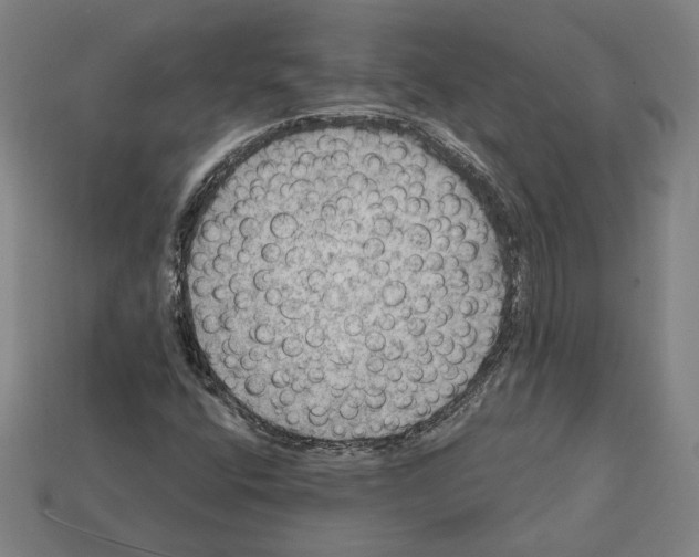 X0000112021400200909141026