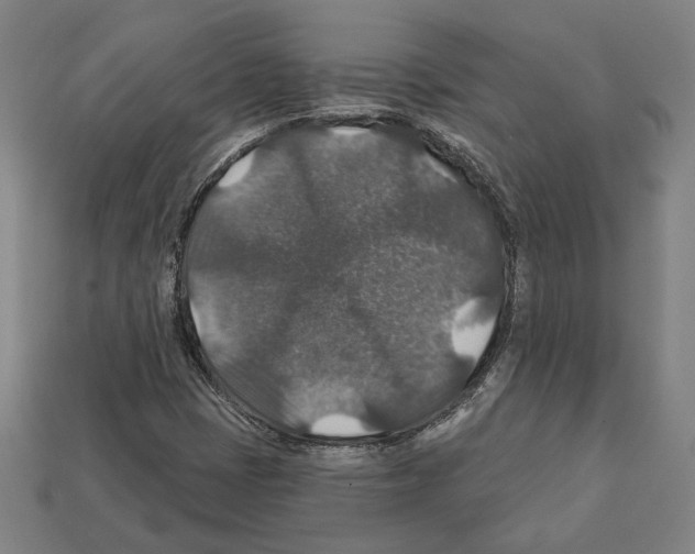 X0000112021401200909141026