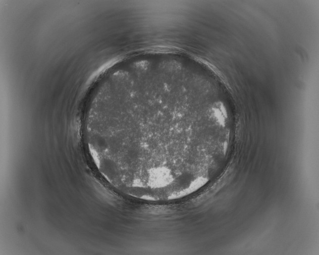 X0000112021402200909141026