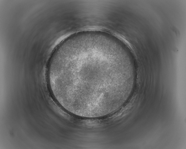 X0000112021404200909141026