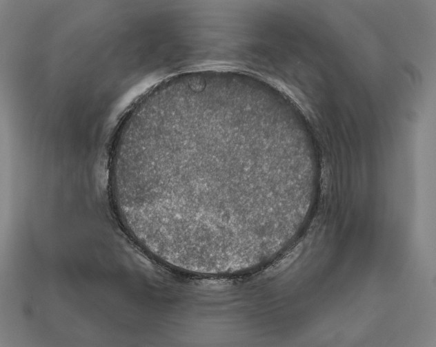 X0000112021406200909141026