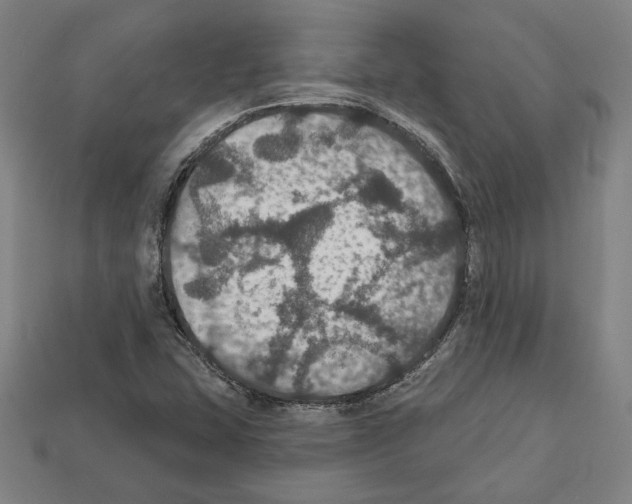 X0000112021407200909141026