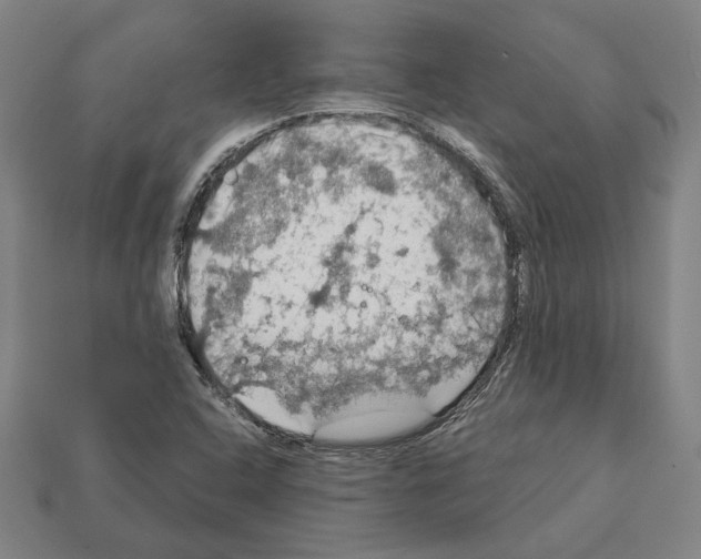 X0000112021408200909141026