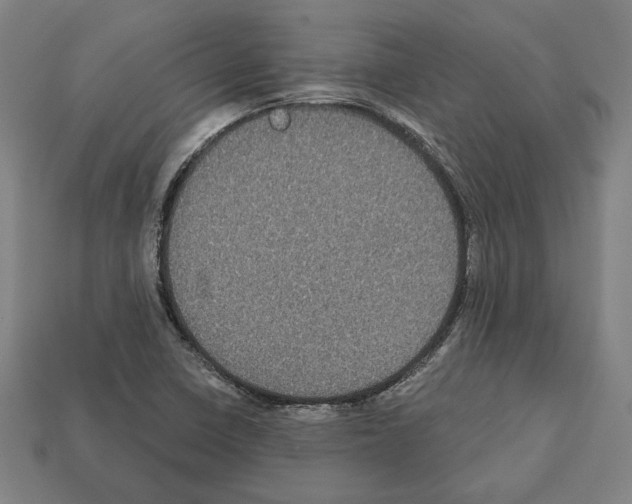 X0000112021410200909141026