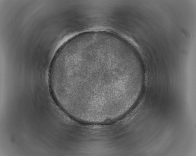 X0000112021412200909141026