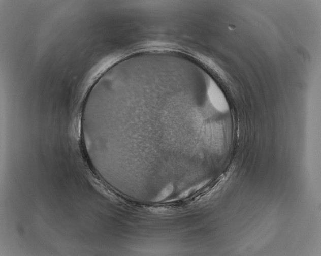 X0000112021413200909141026