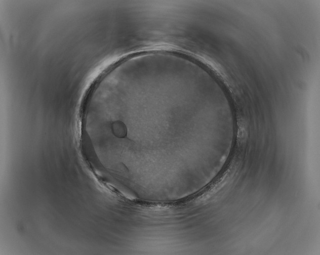 X0000112021414200909141026