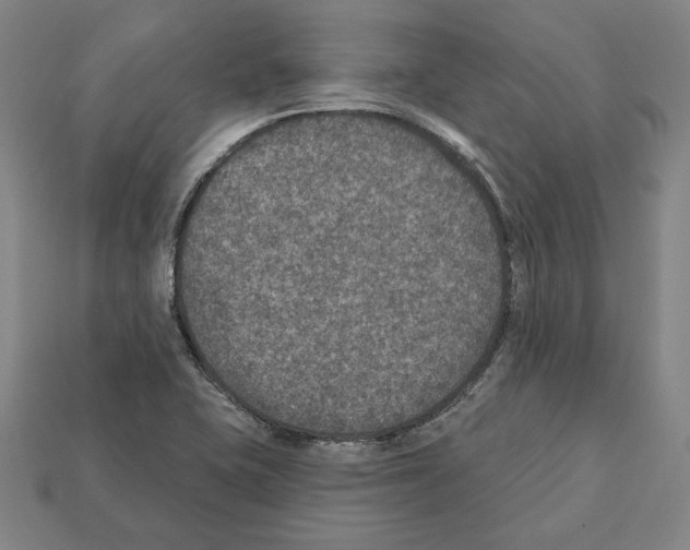 X0000112021415200909141026