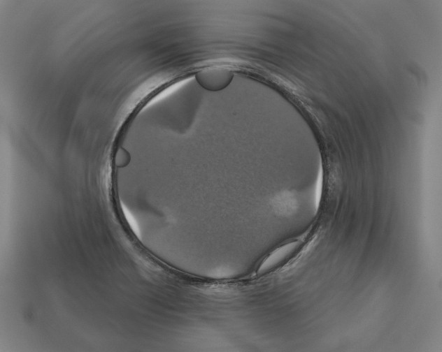 X0000112021418200909141027