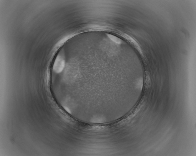 X0000112021419200909141027