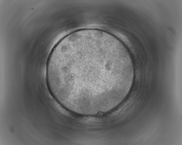 X0000112021420200909141027