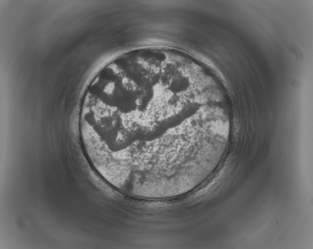 X0000112021421200909141027