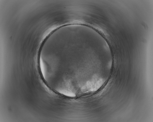 X0000112021422200909141027